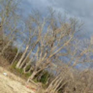 Meet your Posher, Nevaeh